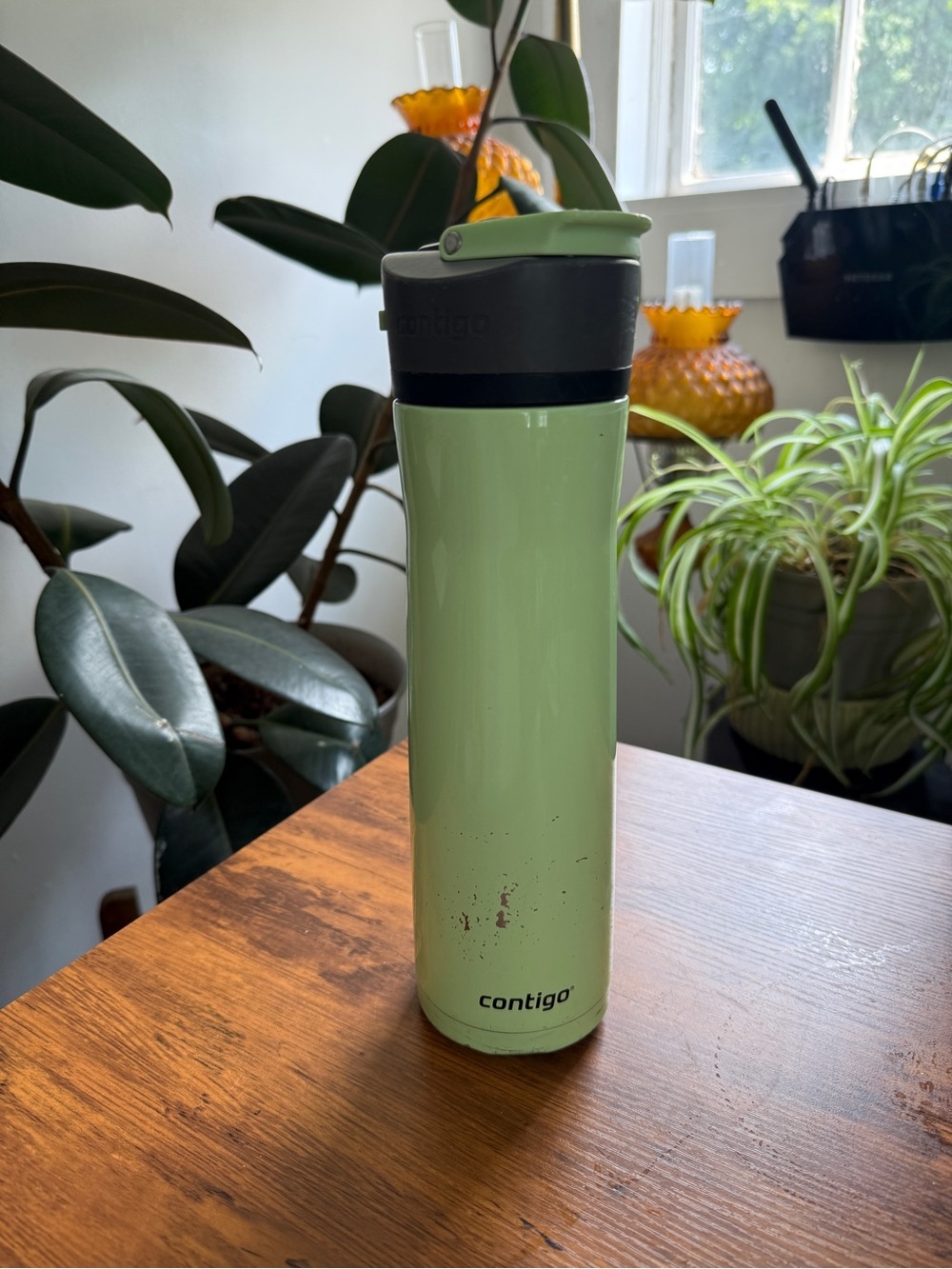 Contigo Light Sage Green Travel Tumbler with Black Accents